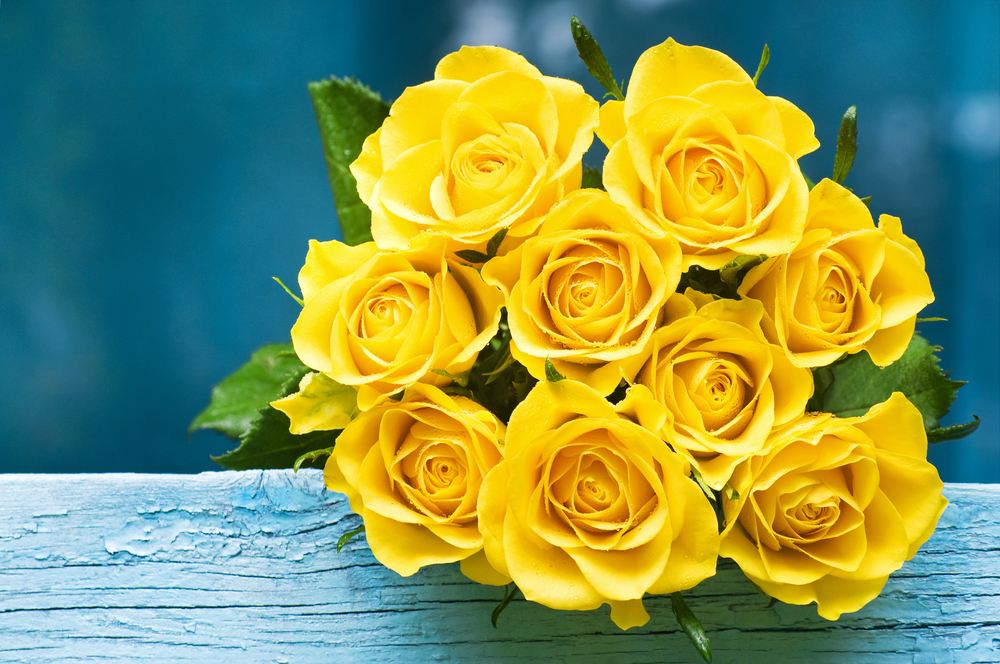 Gifting a yellow rose bouquet