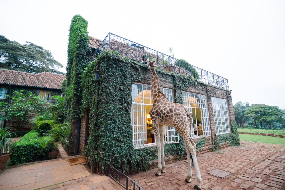 Giraffe Manor - Kenya