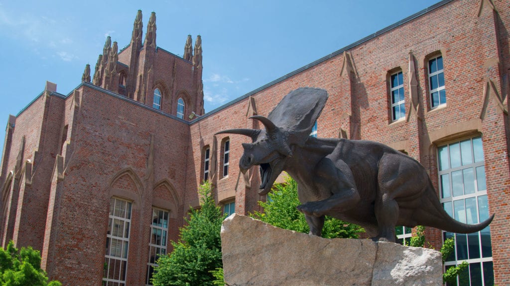 Yale Peabody Museum of Natural History in New Haven, Connecticut