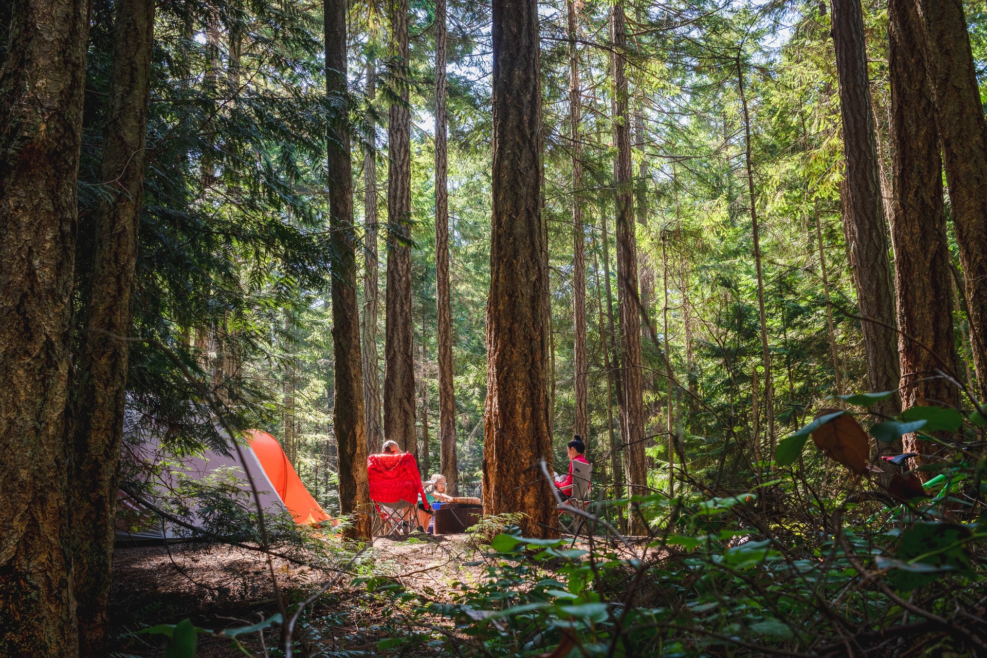 7. Jedediah Smith Campground, Jedediah Smith Redwoods State Park - California