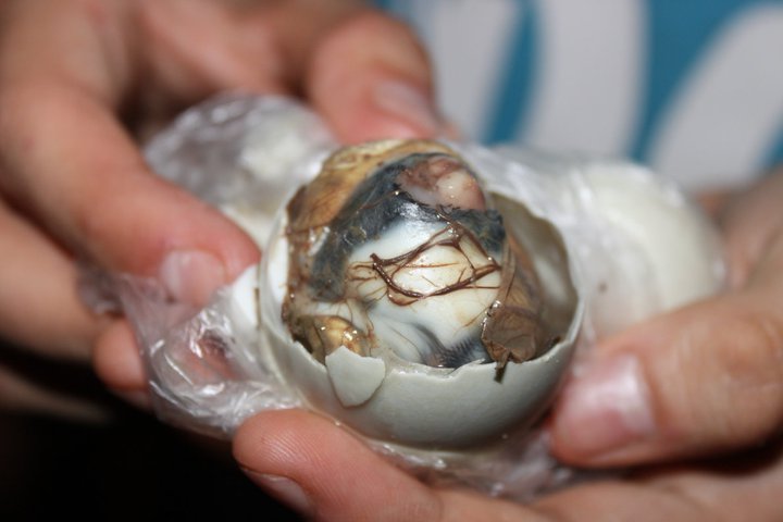 Balut in the Philippines