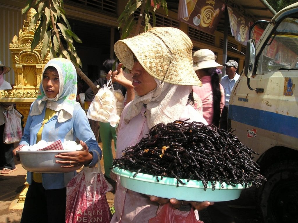 Fried Spiders in Cambodia