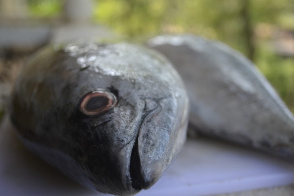Tuna Eyeballs in Japan