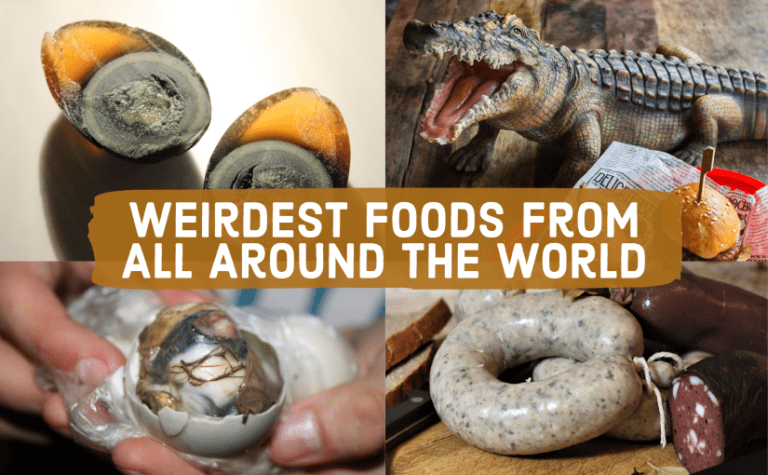 Weirdest Foods From All Around The World & + Like