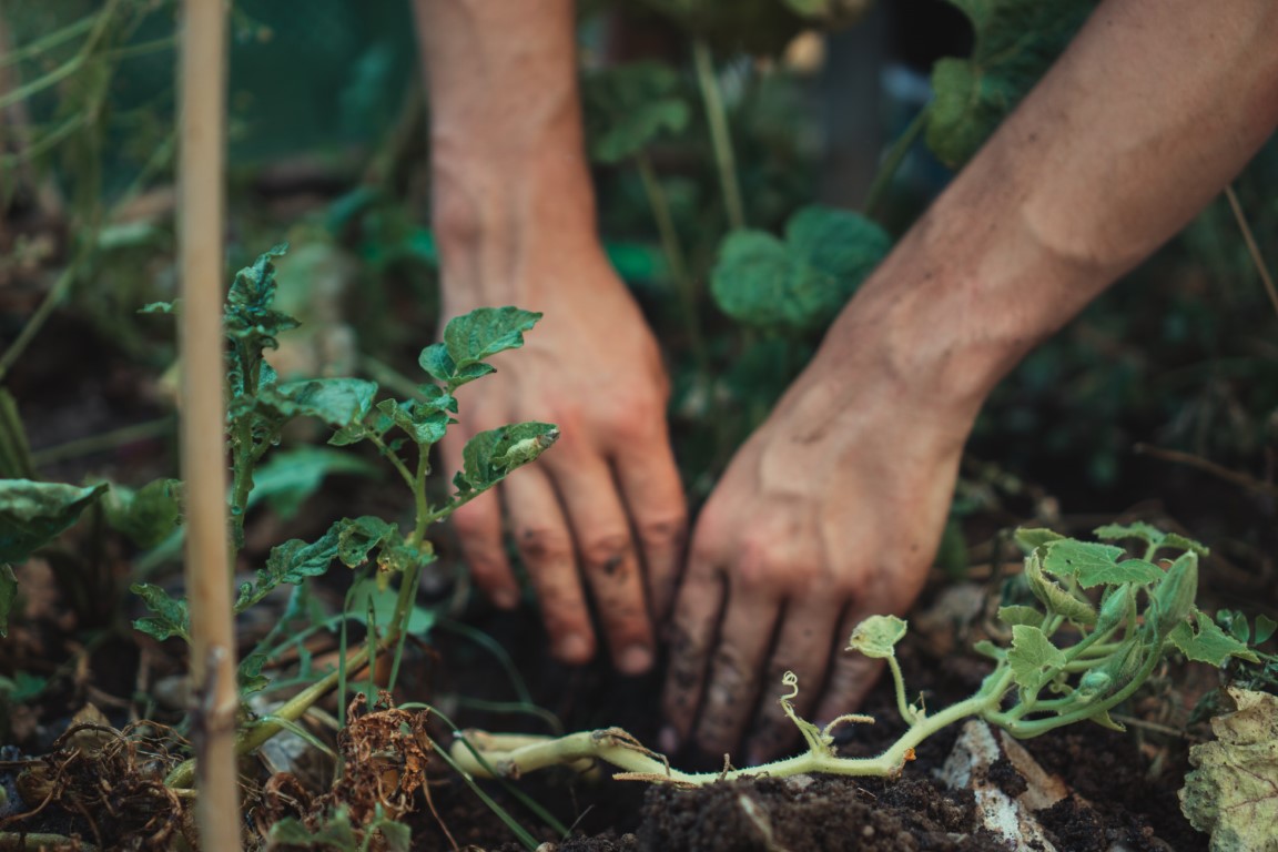 And if all of that sounds like way too much work for you, let an eco-friendly travel company do all the work for you.