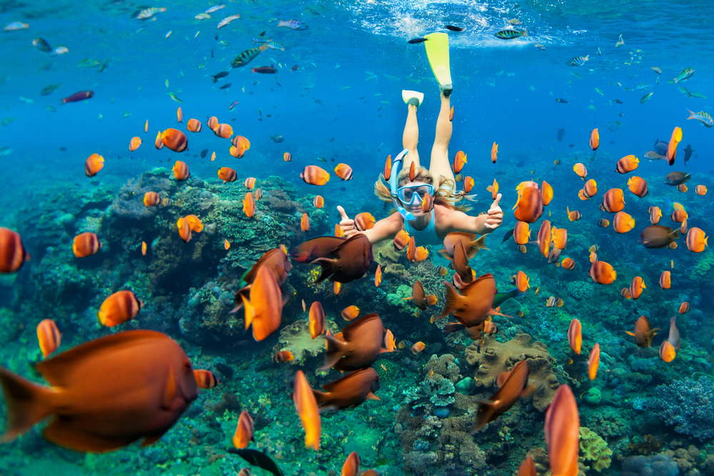 Girl in snorkeling mask dive underwater exploring Maldives marine life