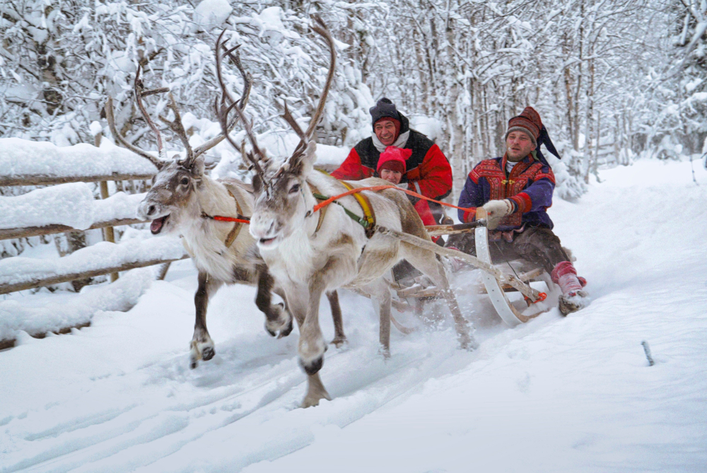 Man in traditional Sami costume and tourists out and about with a reindeer sleigh