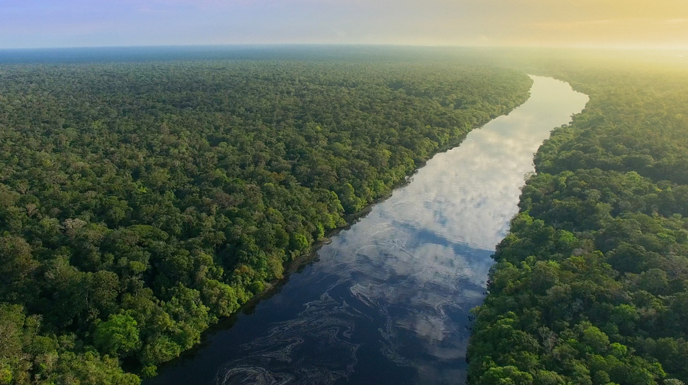 Aerial View of Amazon Rainforest in Brazil
