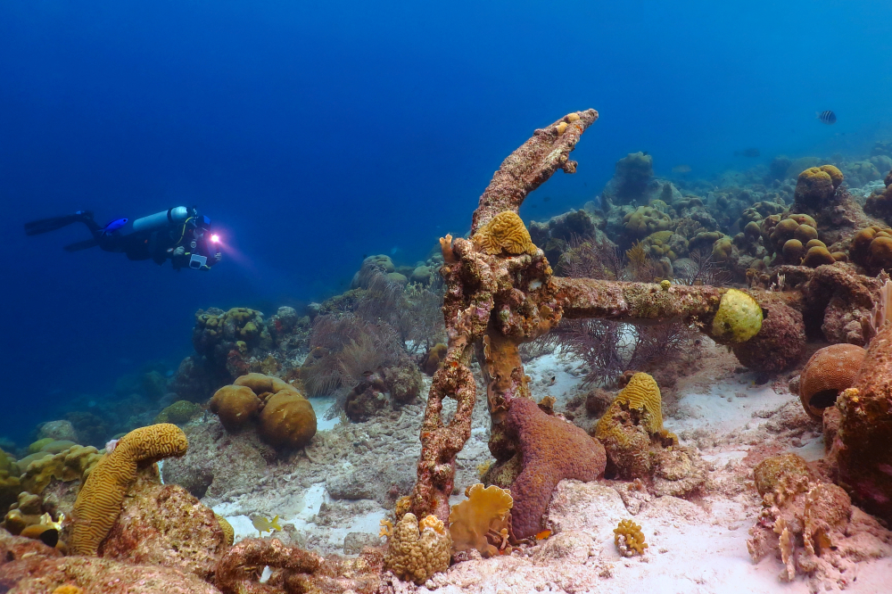 Scuba diver exploring coral reef with old anchor. Diver with flashlight and underwater camera on the coral reef with anchor and chain. Underwater photography from the scuba diving exploration.