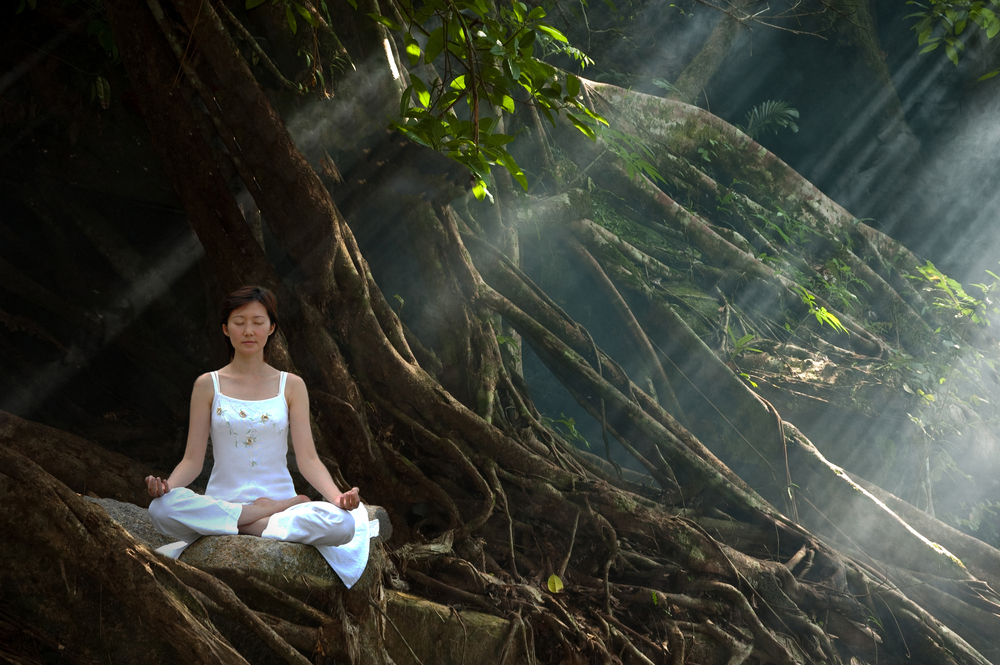 Meditation, Ananda Yoga