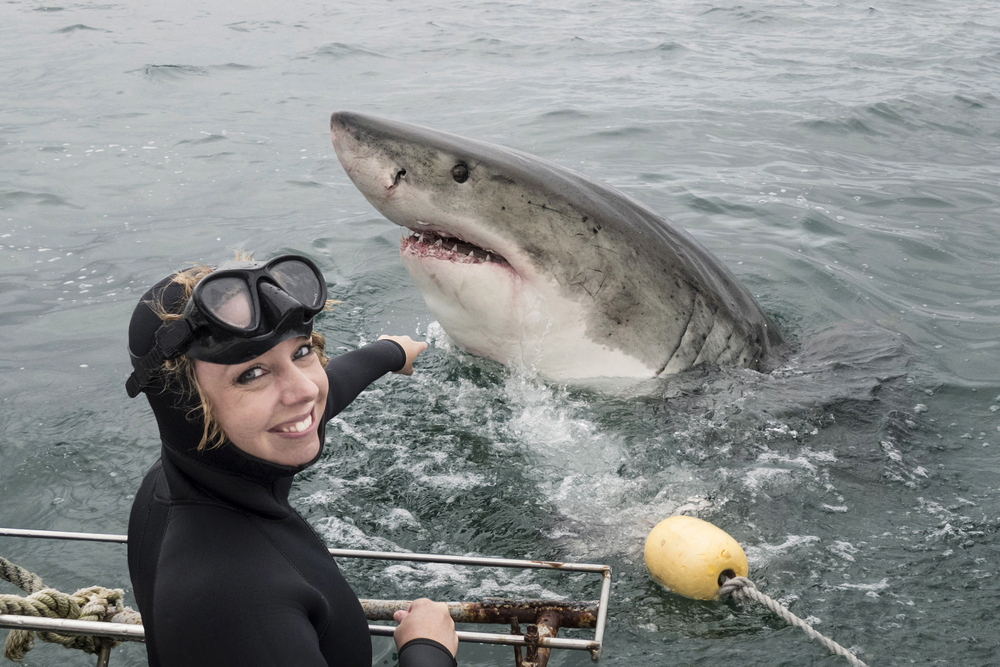 woman and white shark