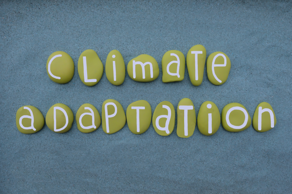 Climate adaptation slogan composed with green colored stone letters over green sand