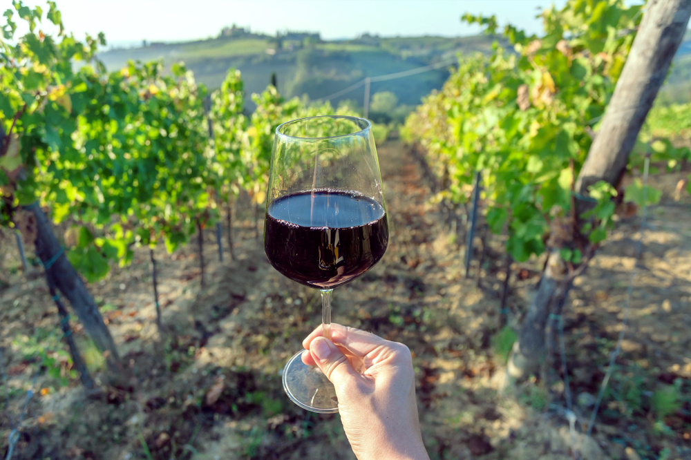 Wine glass in hand of drinker and landscape of Tuscany, with green valley of grapes.
