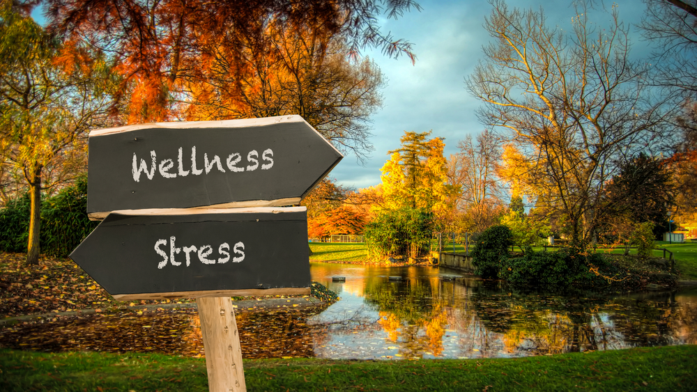 Street Sign the Direction Way to Wellness versus Stress
