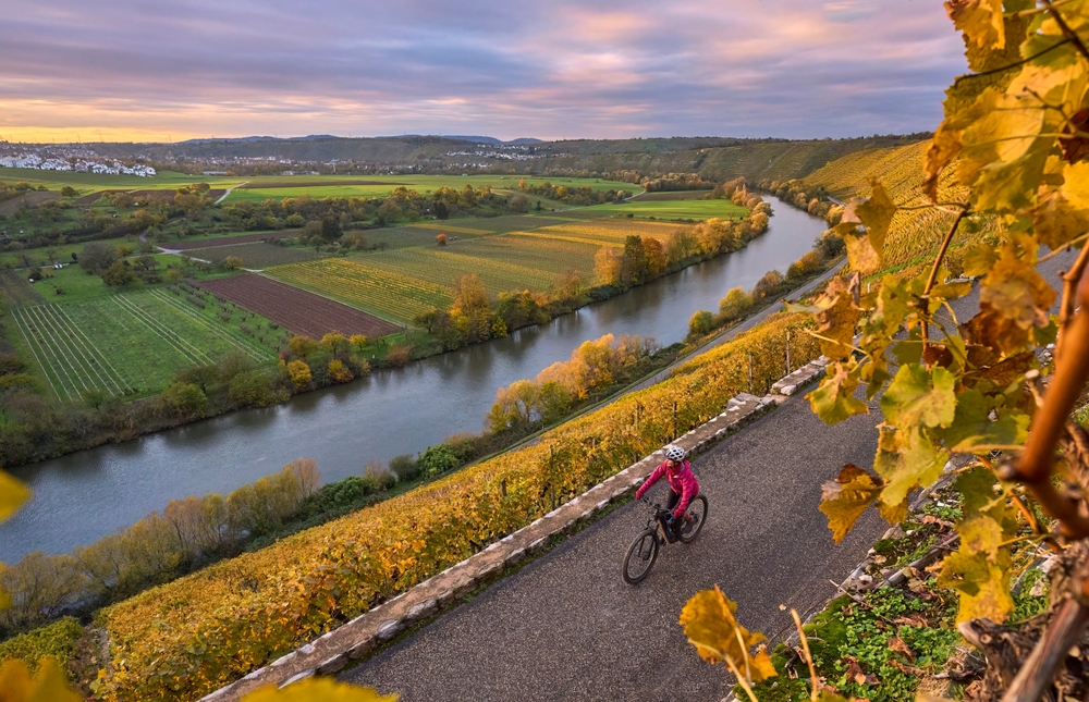 nice senior woman riding her electric mountain bike in the steep autumnal colored vineyards