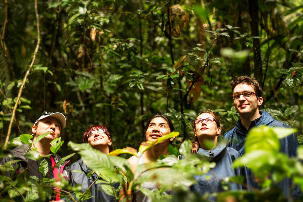 A group of tourists led by a guide explore the lush Amazon rainforest in Ecuador