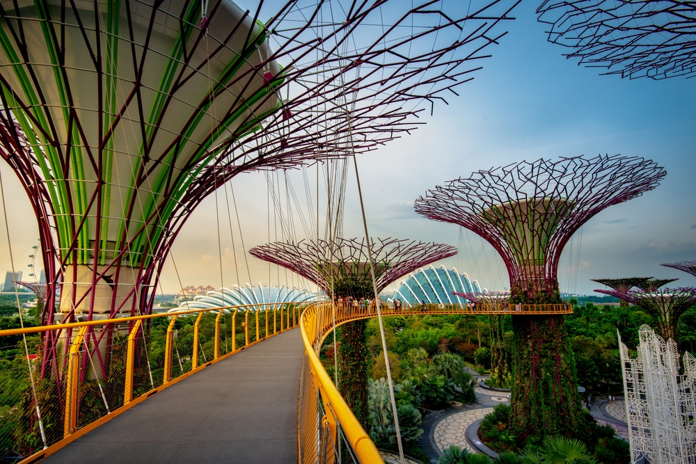 Garden by the bay in Singapore this is the most popular destination in Singapore