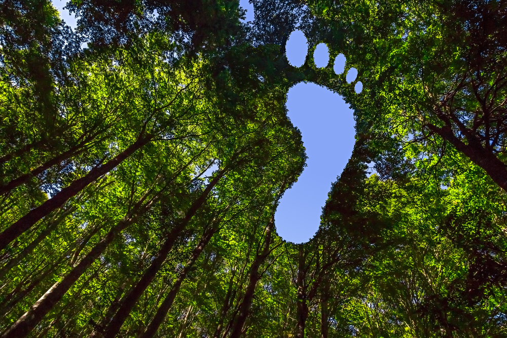 Hole in the Shape of a Footprint Symbolizing a Carbon Footprint