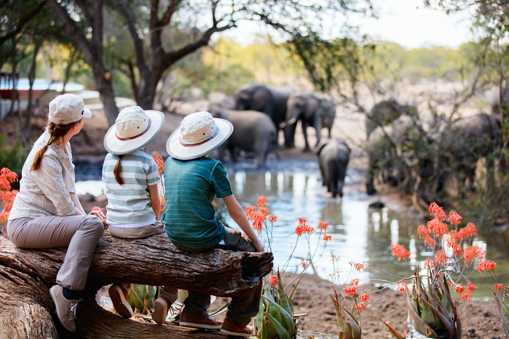 Family of mother and kids on African safari vacation enjoying wildlife viewing at watering hole