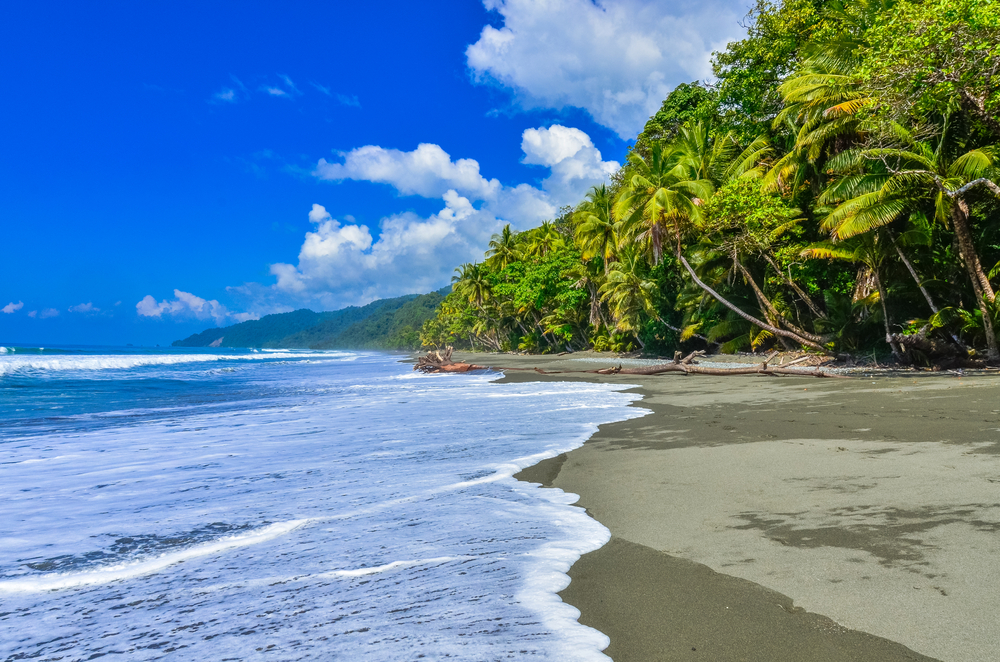 Wild beach at Corcovado Rainforest in Costa Rica