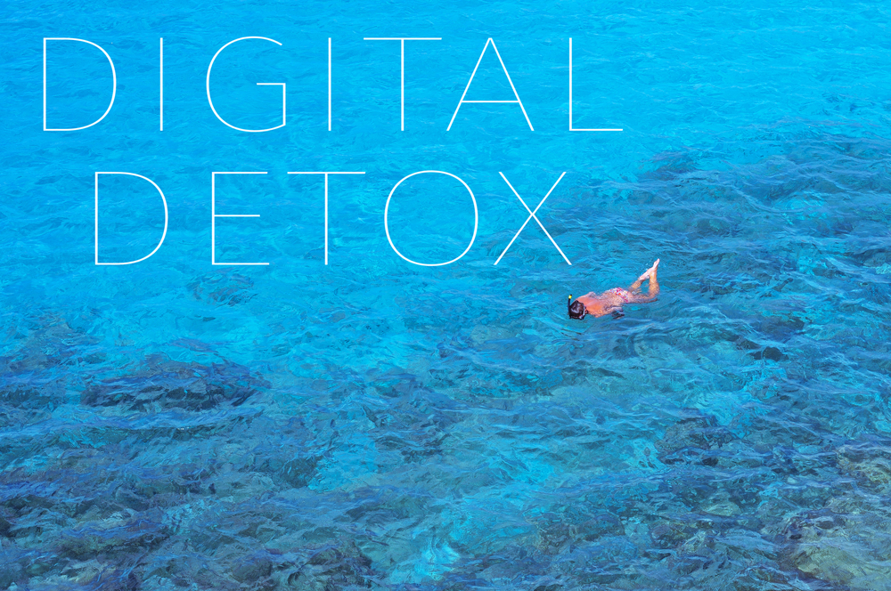 the text digital detox in a sea landscape with someone diving