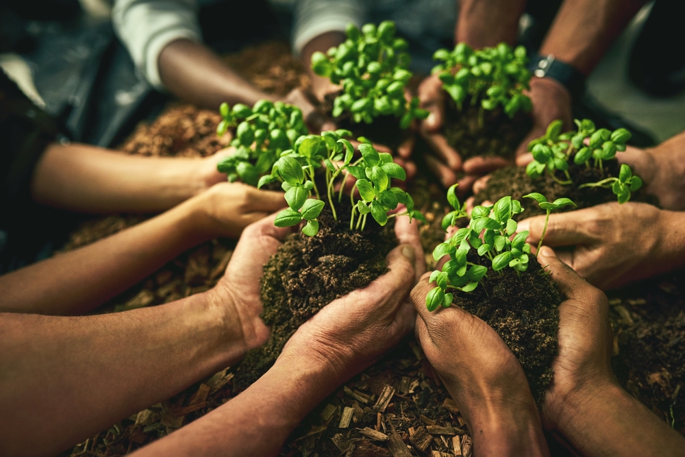 A diverse group of sustainable people holding plants in an eco friendly environment for nature conservation.