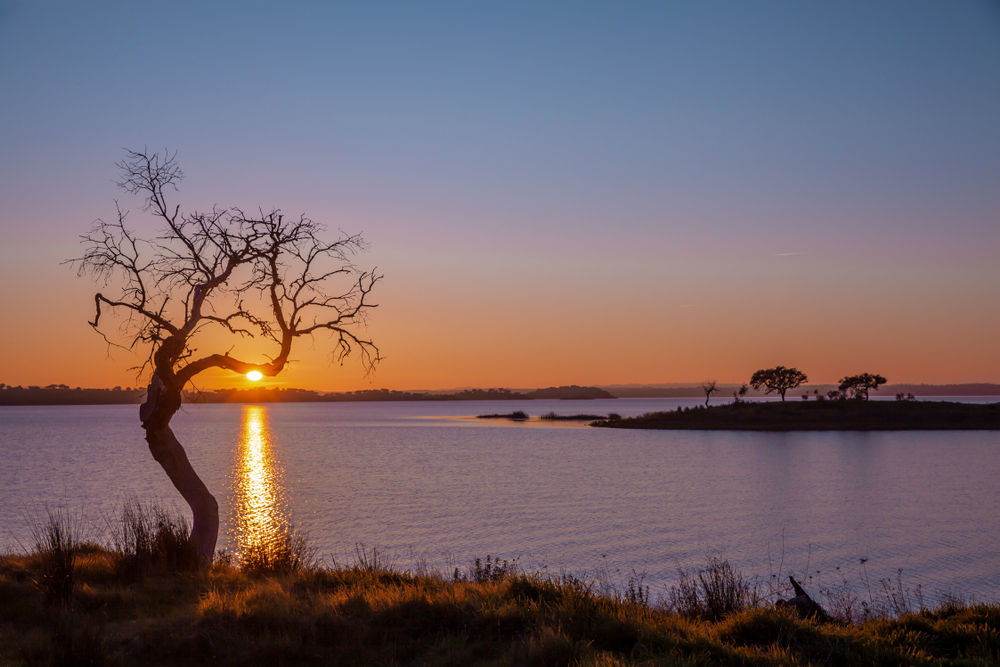 Lake sunset scenery from the Alqueva Water Reservoir in Portugal Alentejo Nature Landscape