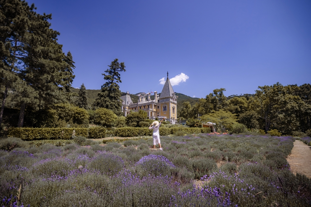 A woman is standing in a field of lavender