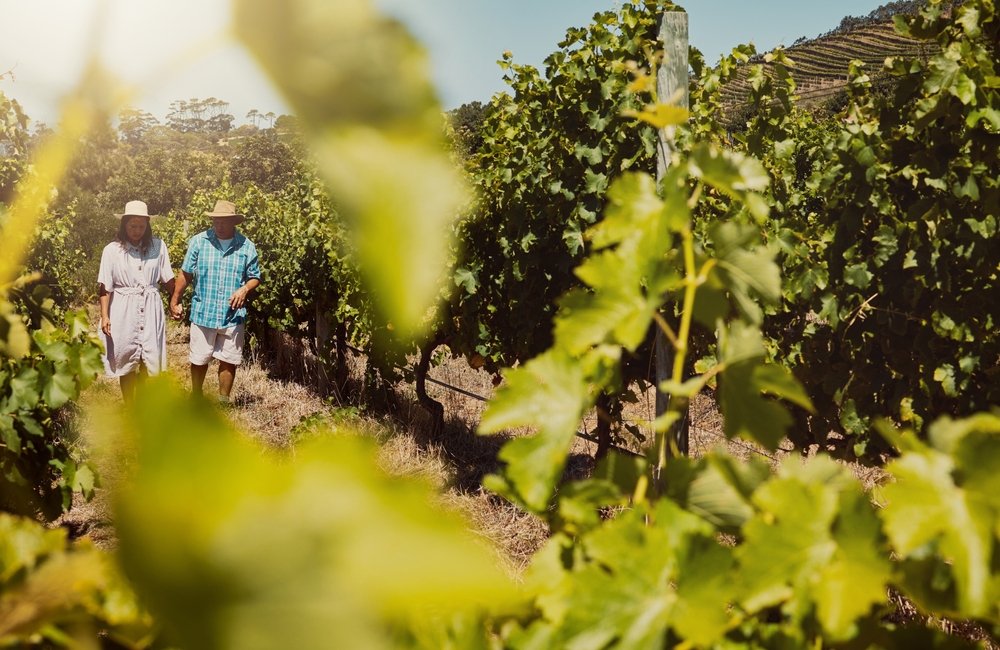 Mature couple, walking and holding hands on vineyard for countryside travel, agriculture and wine farm.