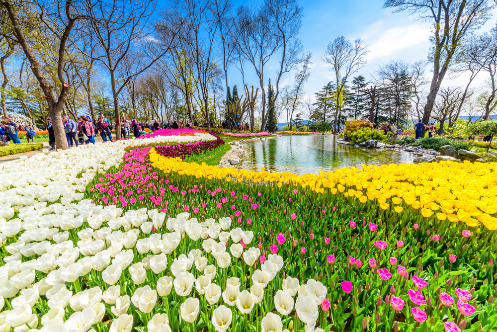 Tourists visit popular Emirgan Park at traditional Tulip Festival in Emirgan Park, a historical urban park located in the Sariyer District.