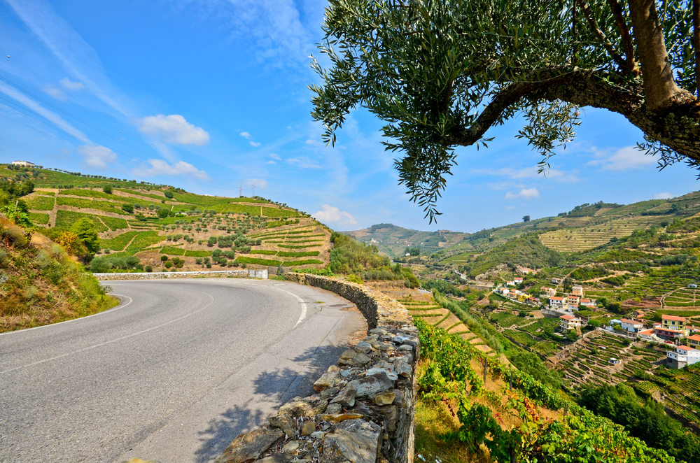 Douro Valley: Road next to vineyards and small village near Peso da Regua, Portugal