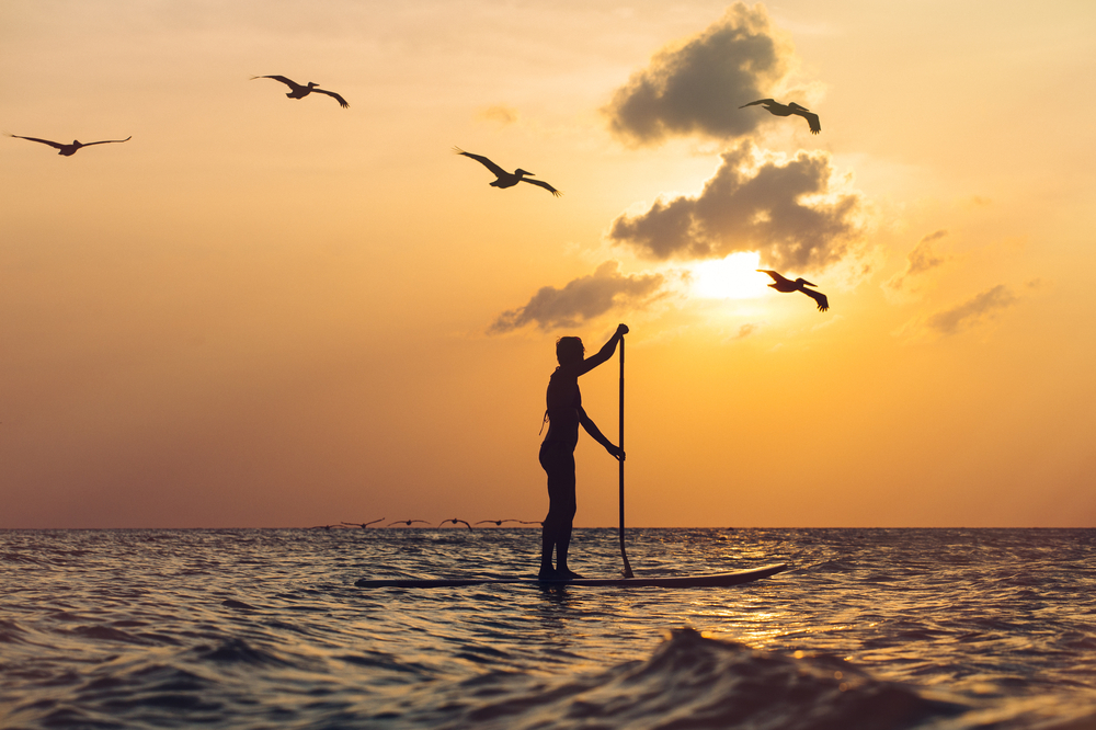 Sportive woman practicing stand up paddleboard at sunset