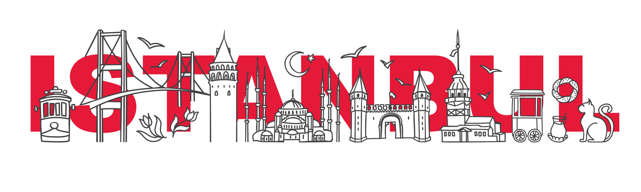 Galata and Maiden tower, Blue Mosque, bridge and other Turkish landmarks with the city name behind.