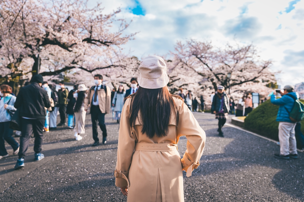 Travel spring season of Japanese flower concept, Happy traveler asian woman sightseeing in pink sakura cherry blossom tree blooming in Chidorigafuchi park, Tokyo, Japan